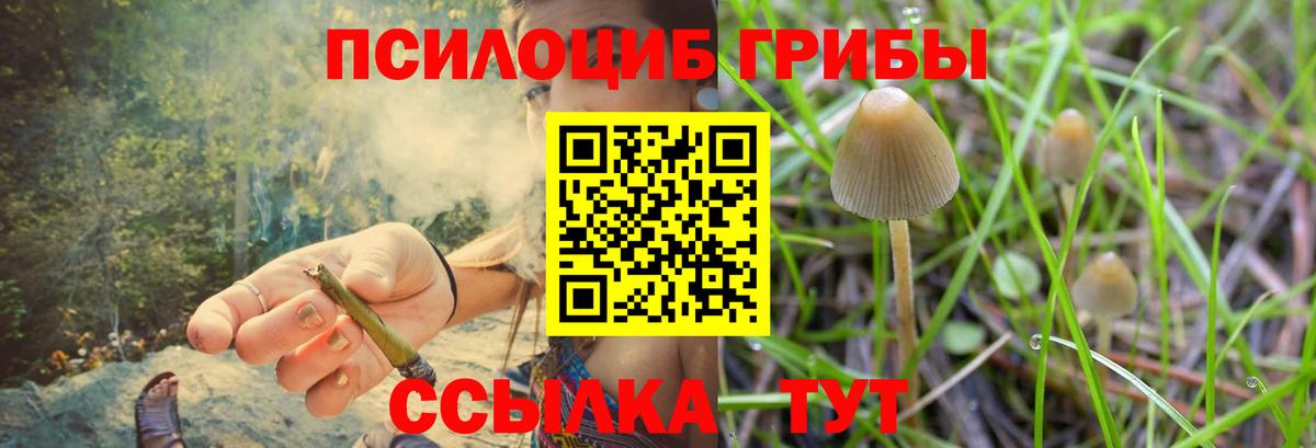 Лабинск  Псилоцибиновые грибы MAGIC MUSHROOMS  наркотики  Вход с VPN 